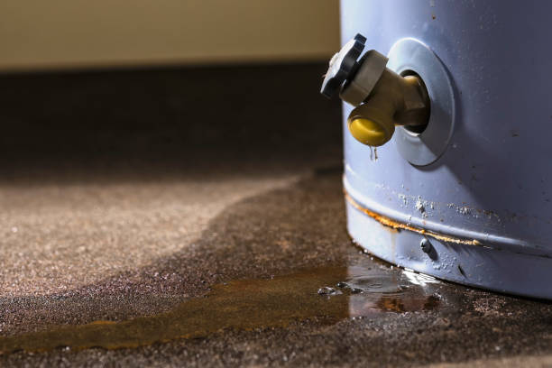 Best Local water damage restoration  in Bethesda, MD