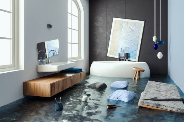 Best Mold removal after water damage  in Bethesda, MD
