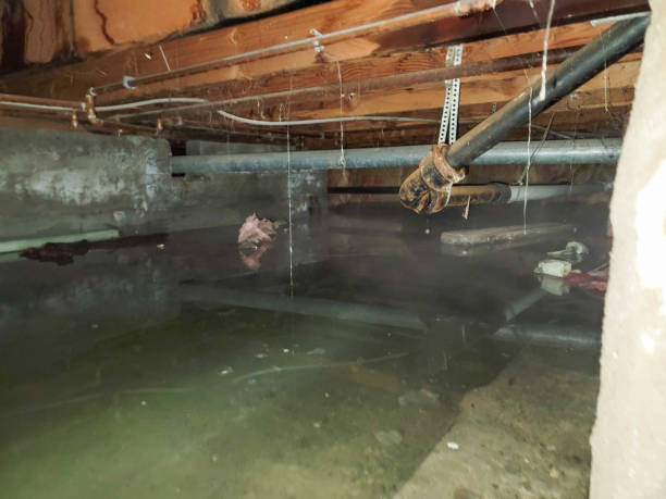 Best Water damage restoration services  in Bethesda, MD